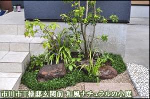 ソヨゴ 植木を選ぶ4視点 庭木におすすめな種類の特徴 植栽実例解説 千葉県 東京都の造園 植栽 庭施工 造園業専門店 新美園