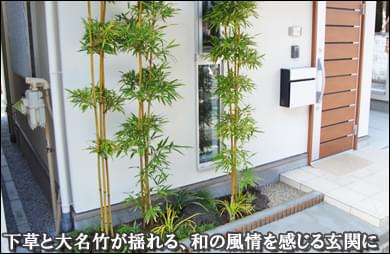 玄関前に和風情緒を感じる竹の植栽を-墨田区Ｅ様邸