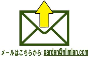 お問い合わせメール：gaeden@niimien.com