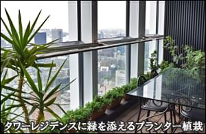 タワーレジデンス43階に緑を添えるプランター植栽-フラワーデザインレッスン虎ノ門ヒルズレジデンス様