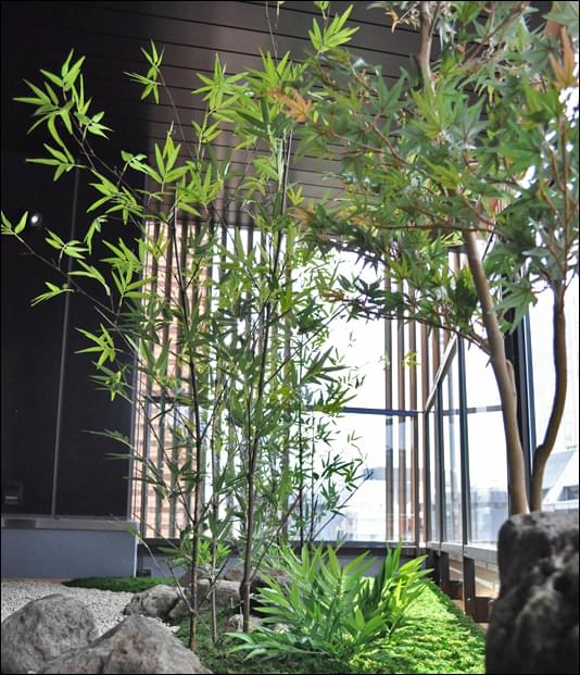 屋外で育ったかの様な人工植物（竹とモミジ）