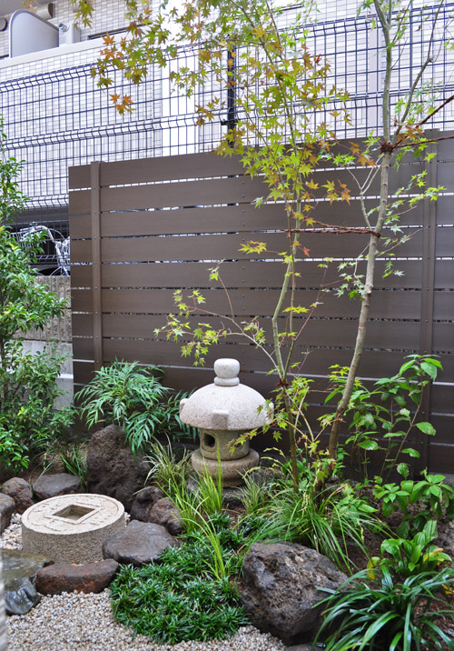 イロハモミジの魅力とは 特徴や樹形の解説 庭木としての植栽実例も 千葉県 東京都の造園 植栽 庭施工 造園業専門店 新美園