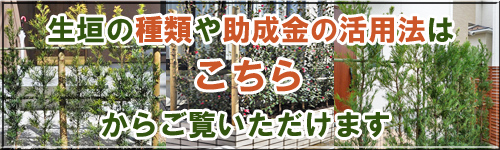 植物で自然な視線対策 目隠しや生垣向きの庭木32種類 お庭を目隠しするメリットと おすすめの対策方法をご紹介 千葉県 東京都の造園 植栽 庭施工 造園業専門店 新美園