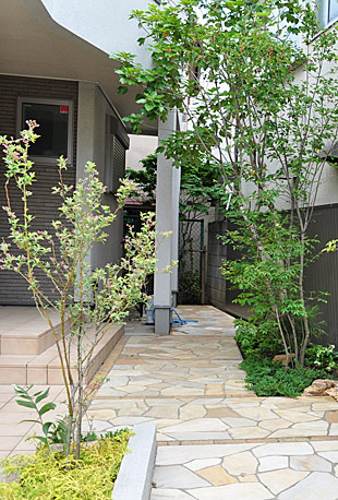 果実も美味しいジューンベリーの育て方 植栽実例もご紹介します 千葉県 東京都の造園 植栽 庭施工 造園業専門店 新美園