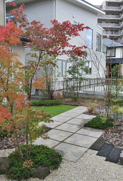 イロハモミジの魅力とは 特徴や樹形の解説 庭木としての植栽実例も 千葉県 東京都の造園 植栽 庭施工 造園業専門店 新美園