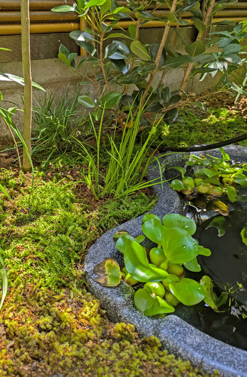 使い分けた苔や下草類が植わる池のほとり